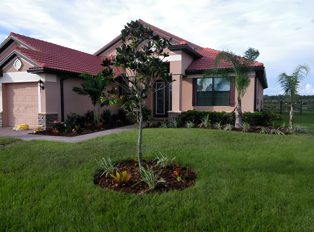 Our Lawn Services